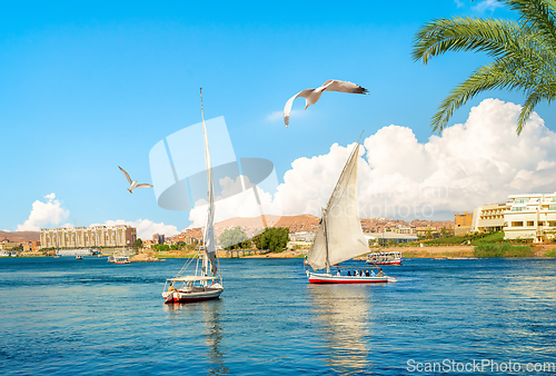 Image of Summer day in Aswan