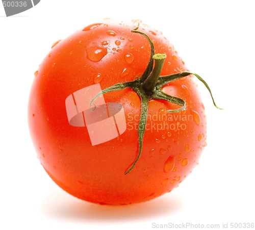 Image of Tomato