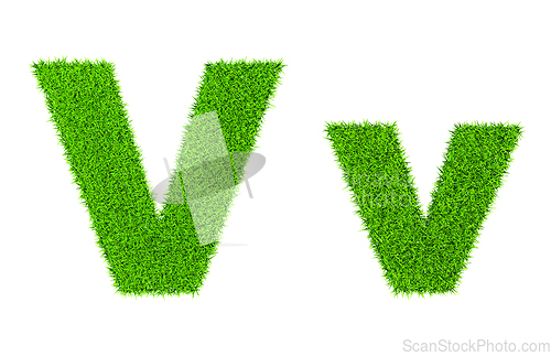 Image of Grass letter V