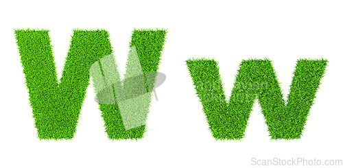 Image of Grass letter W