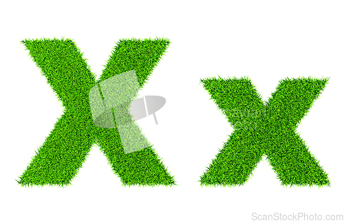 Image of Grass letter X