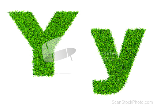 Image of Grass letter Y