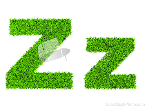 Image of Grass letter Z