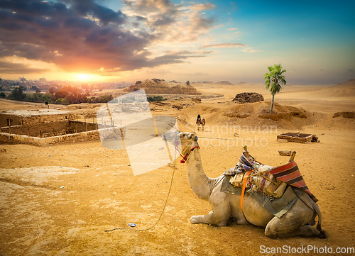 Image of Sunset and Giza