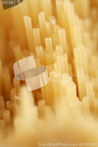 Image of Spaghetti