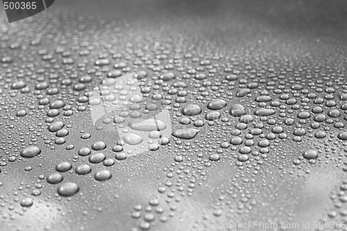 Image of Droplets