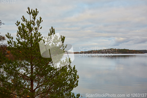 Image of Baltic sea meets rocks in stockholm archipelago.