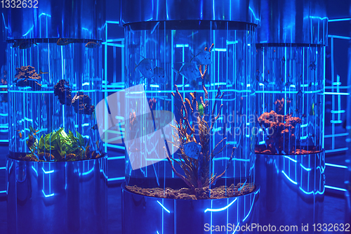 Image of oceanarium interior photo