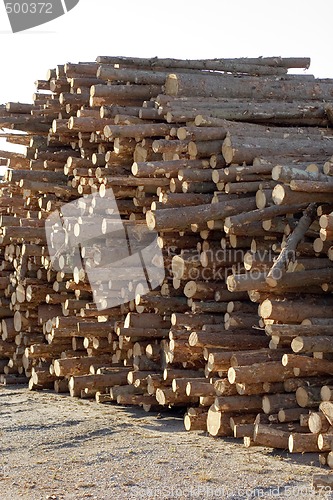 Image of Forest industry log pile