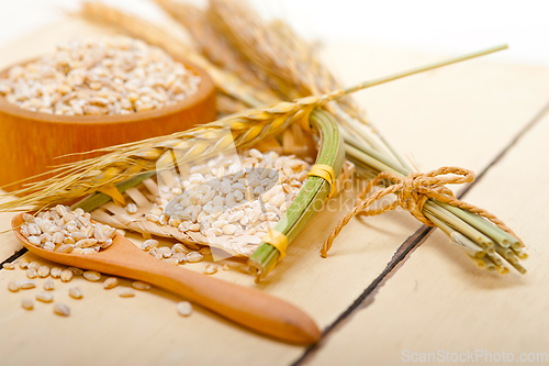 Image of organic barley grains