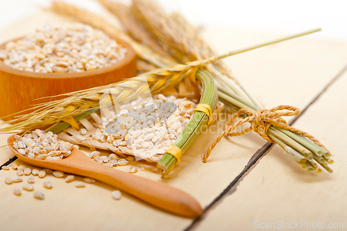 Image of organic wheat grains