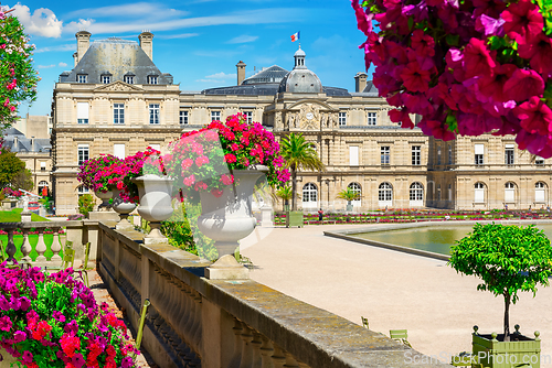 Image of The Luxembourg Gardens