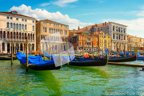 Image of Gondolas along the Grand Canal