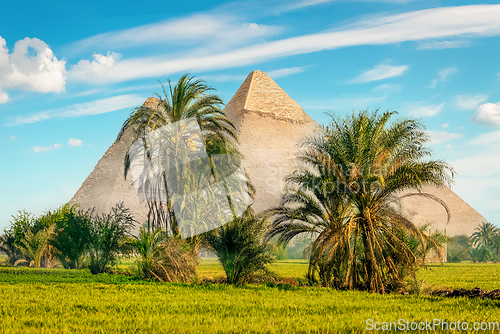 Image of The pyramids in a green field