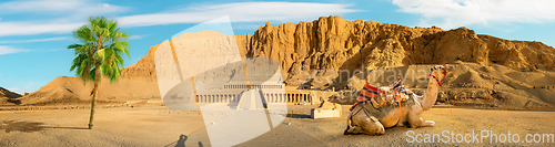 Image of The temple of Queen Hatshepsut