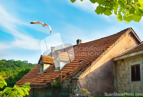 Image of Tiled roof of an old house