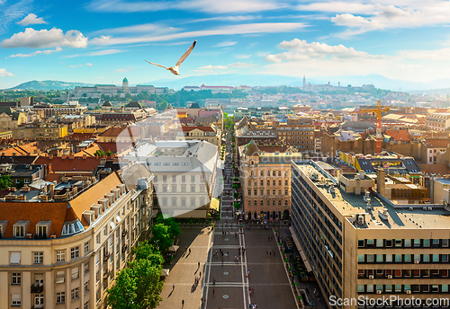 Image of Top view of Istvan Square