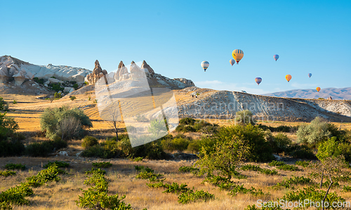 Image of Valley with hot air balloons