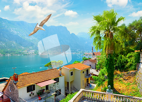 Image of View of Kotor bay