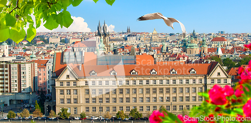 Image of View of Prague from above