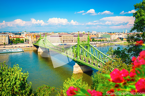 Image of View on Liberty bridge