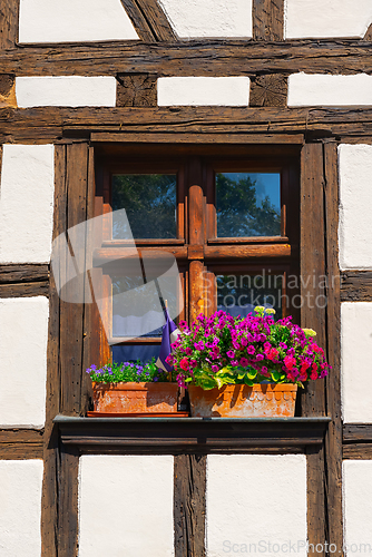 Image of Wall and window