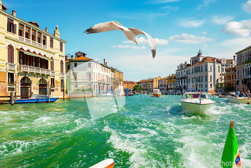 Image of Warm day in Venice