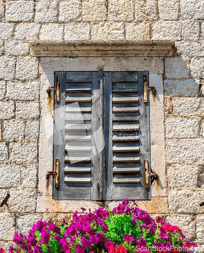 Image of Window and flowers