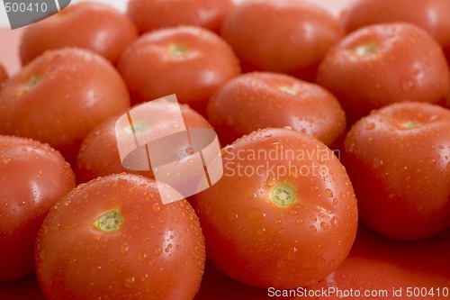 Image of Tomatos