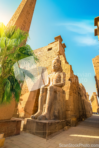 Image of luxor temple and palm