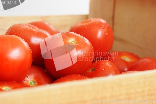 Image of Tomatos