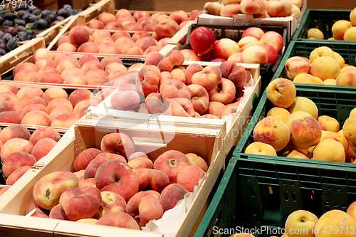 Image of peaches and nectarines in the shop