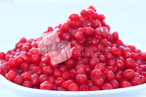 Image of harvest of red schizandra