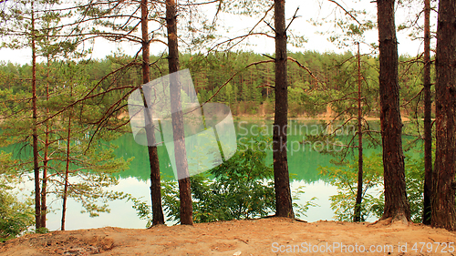 Image of lake in the forest
