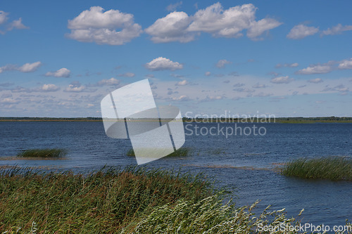 Image of Siemianówka artificial lagoon