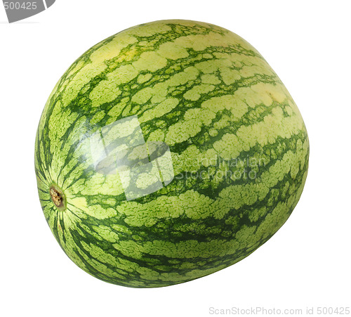 Image of Watermelon