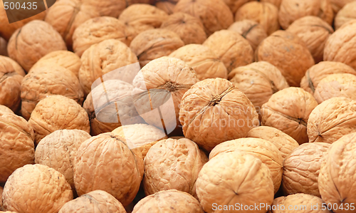 Image of Walnuts