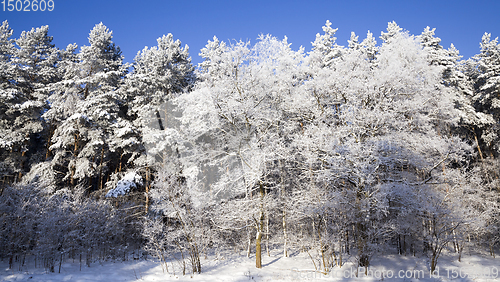 Image of landscape in the winter time