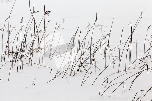 Image of Snow drifts in winter