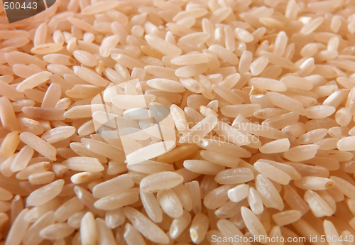 Image of Rice