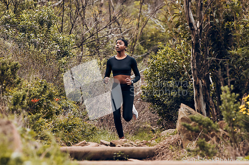 Image of Forest, running and woman of fitness, body training and cardio wellness, outdoor challenge or hiking in nature. Runner, athlete or african sports person for workout goal or marathon exercise in woods