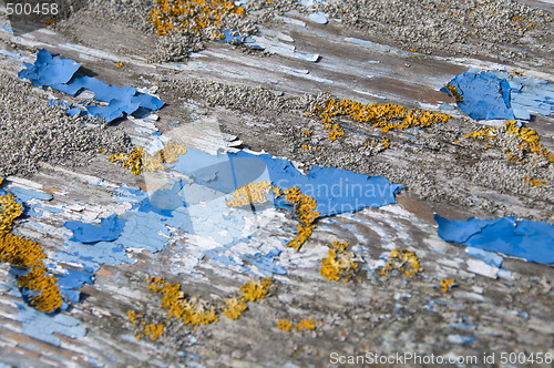 Image of Peeling paint