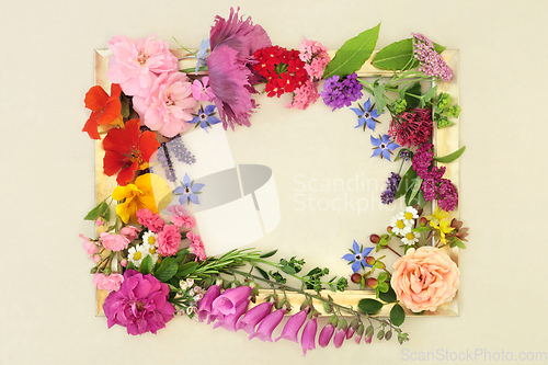 Image of Summer Flowers and Herbs for Natural Herbal Remedies