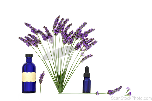 Image of Lavender Flower Herb Natural Herbal Medicine