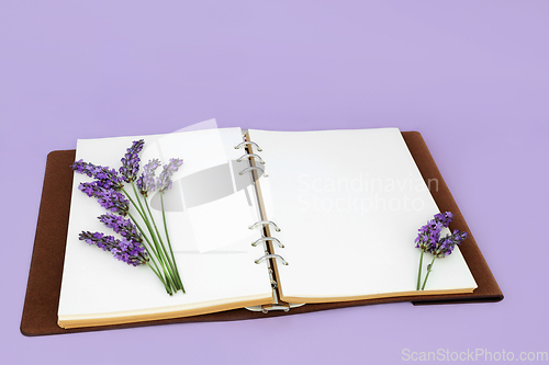 Image of Lavender Flower Herb Abstract Floral Composition