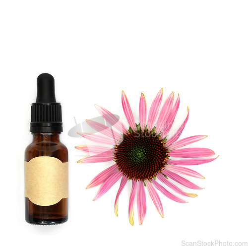 Image of Echinacea Tincture for Cough Cold and Bronchitis Remedy