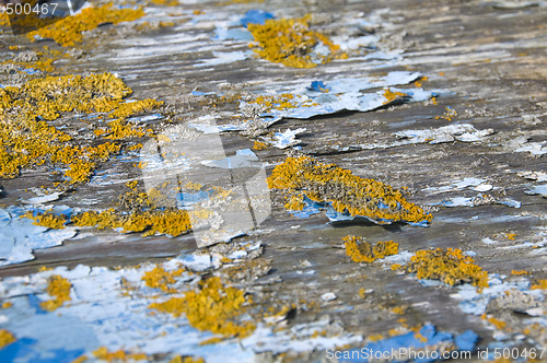 Image of Peeling paint