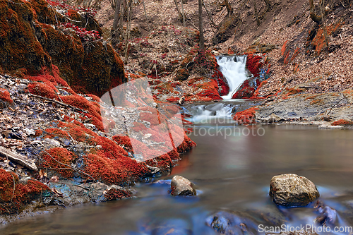 Image of beautiful colors of autumn on mountain river