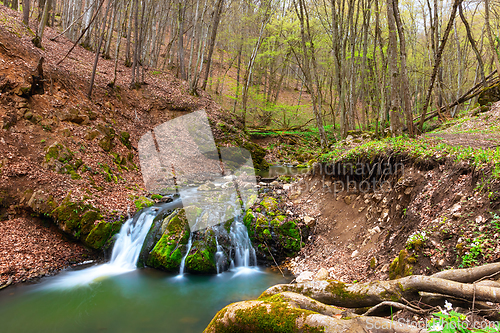 Image of beautiful waterfall in Apuseni mountains