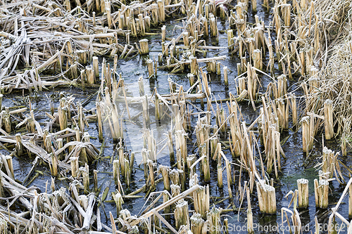 Image of water froze